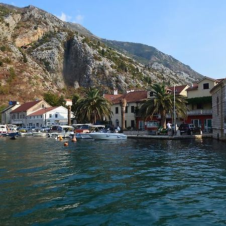 Apartments Qualitas Kotor Ngoại thất bức ảnh