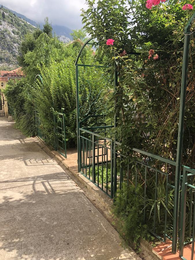Apartments Qualitas Kotor Ngoại thất bức ảnh