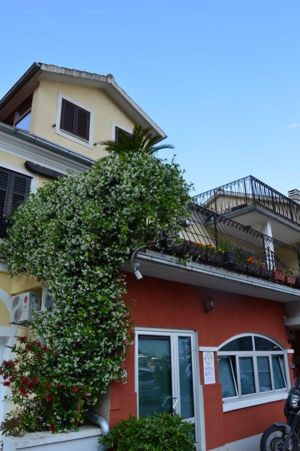 Apartments Qualitas Kotor Ngoại thất bức ảnh